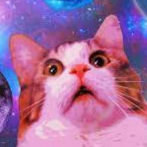 Meet your Posher, Nicholas - Picture 1 of 1